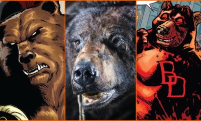 os-5-ursos-perigosos-da-marvel-que-poderiam-enfrentar-o-cocaine-bear