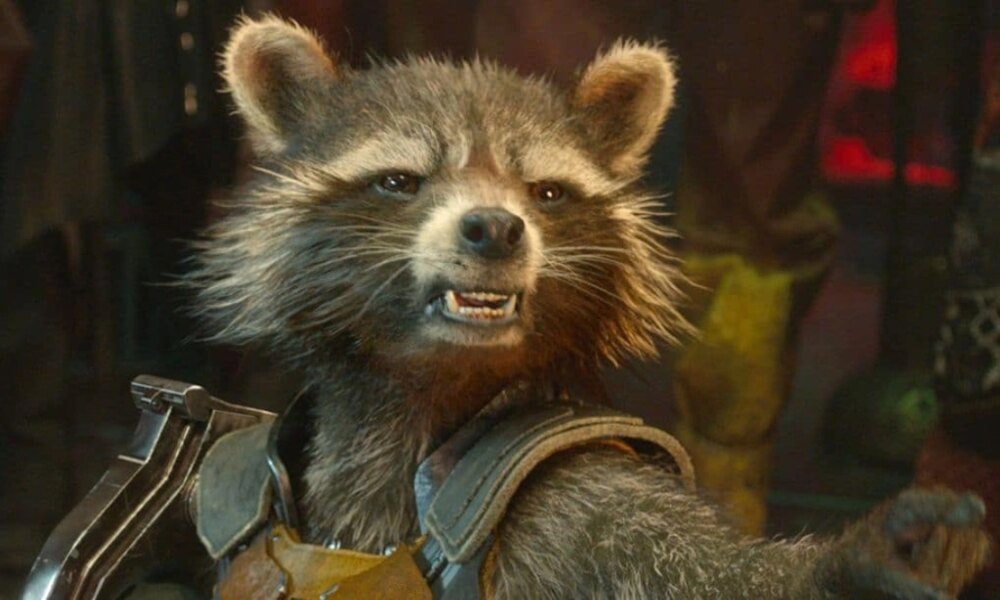 a-marvel-pode-nos-trazer-um-relacionamento-verdadeiramente-caotico-para-rocket-raccoon-em-futuros-filmes-do-mcu,-e-estou-pessoalmente-aqui-para-isso.